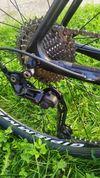 Stevens Carbon team