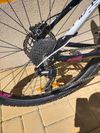Scott contessa 730