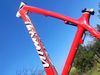 Thomus Tomcat Carbon 