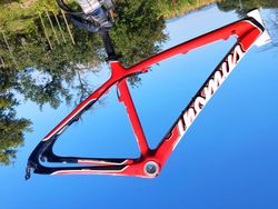 Thomus Tomcat Carbon 