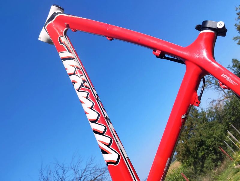 Thomus Tomcat Carbon 