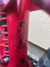 Trek Slash 8 M/L - custom