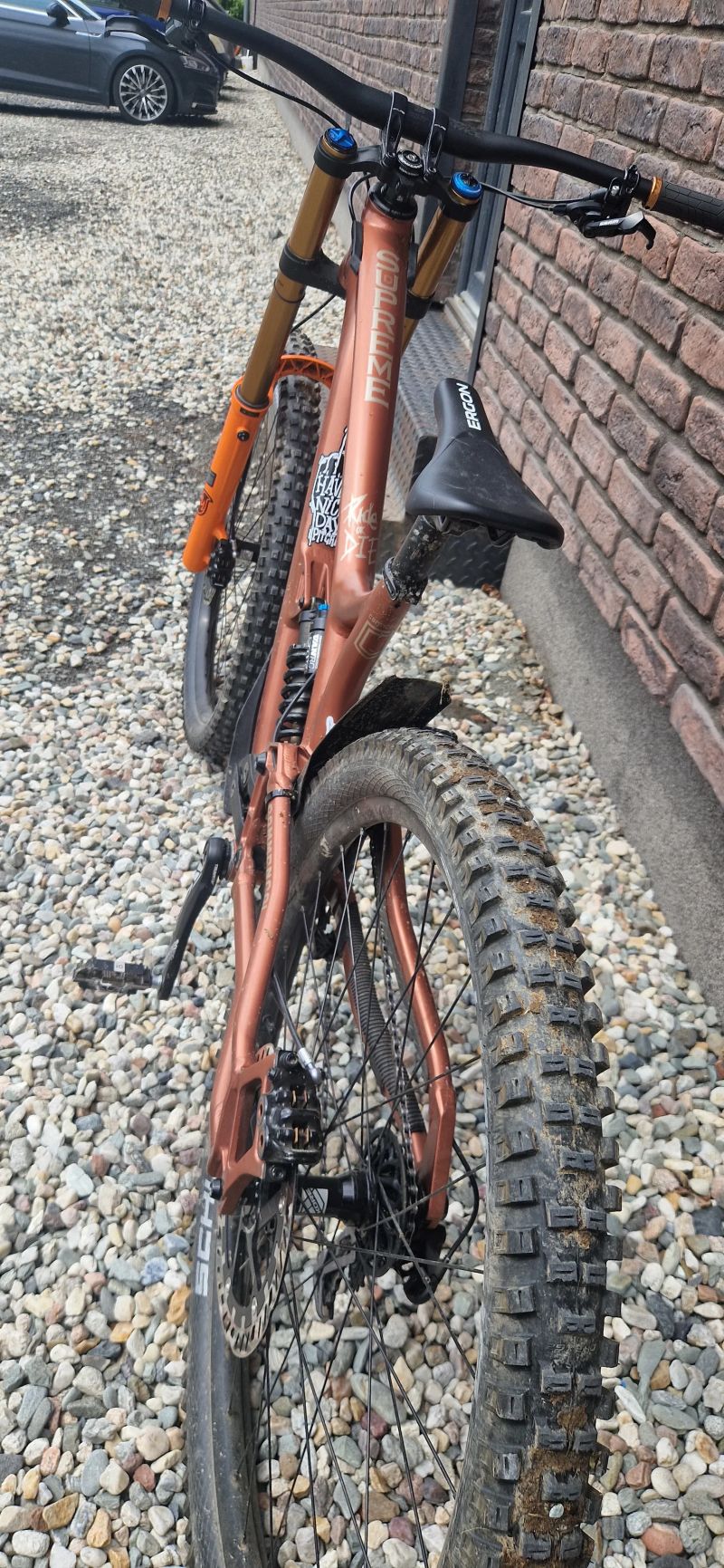 Commencal Supreme DH 29 Race (custom)
