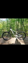Canyon Torque Al 6 2022