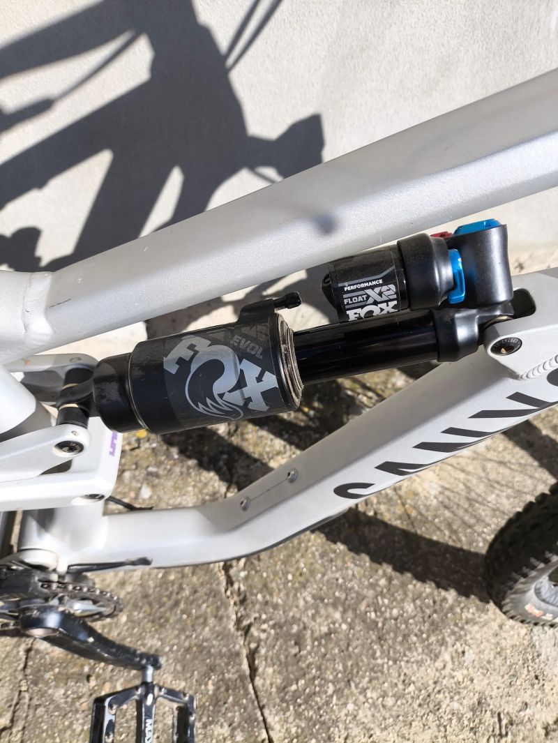 Canyon Torque Al 6 2022