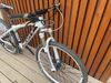 Scott 26’