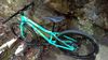 Amulet 24" 