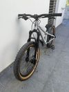 Early Rider Hellion 20
