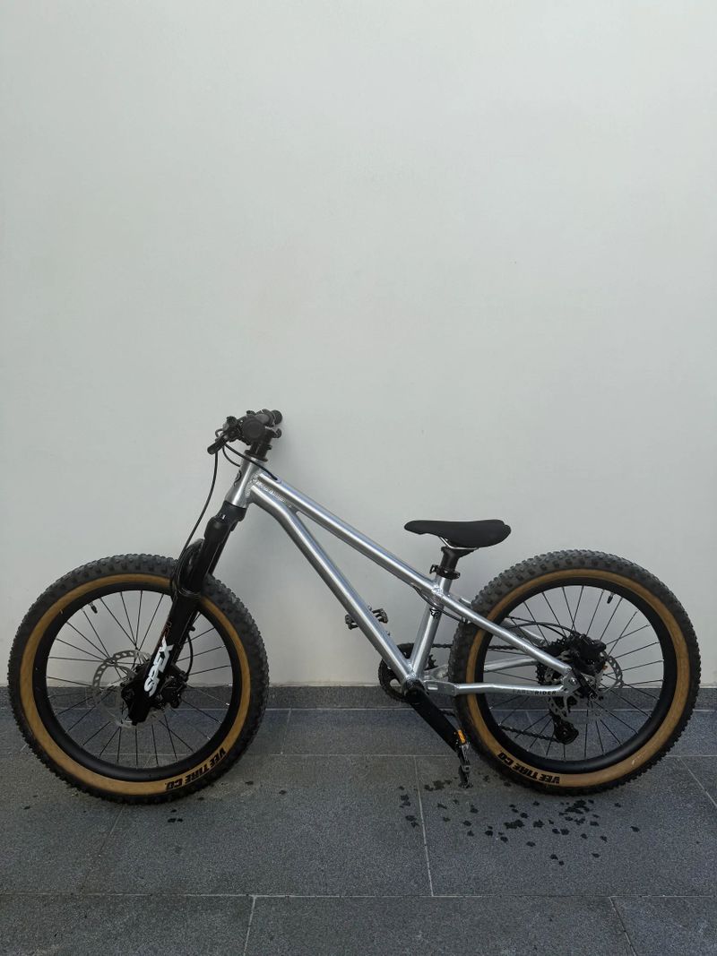 Early Rider Hellion 20