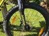 Scott Scale 24”