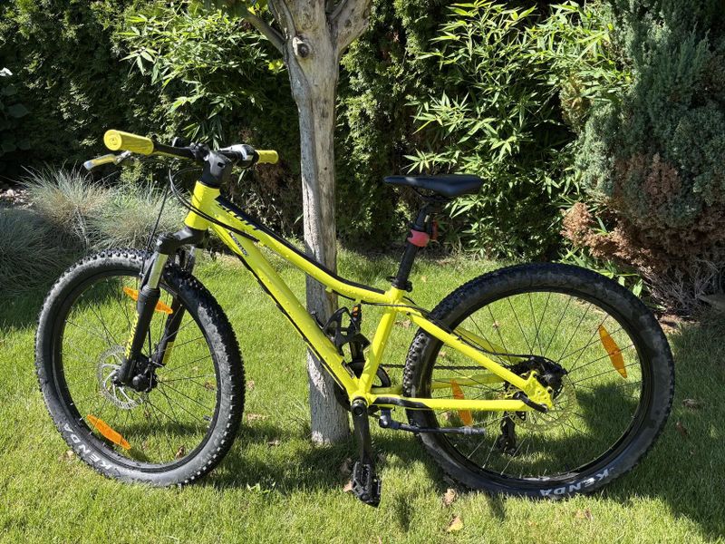 Scott Scale 24”