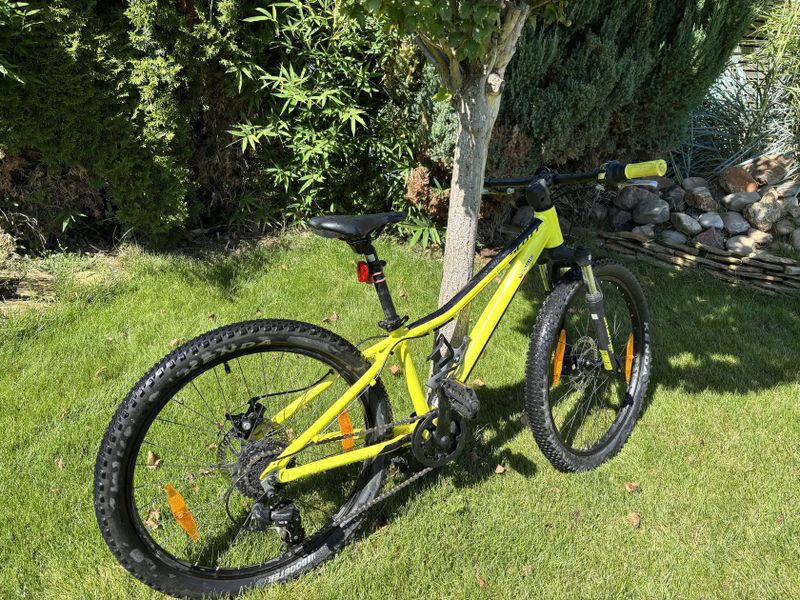 Scott Scale 24”