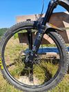 Giant Trance 29 GE 1 model 2020