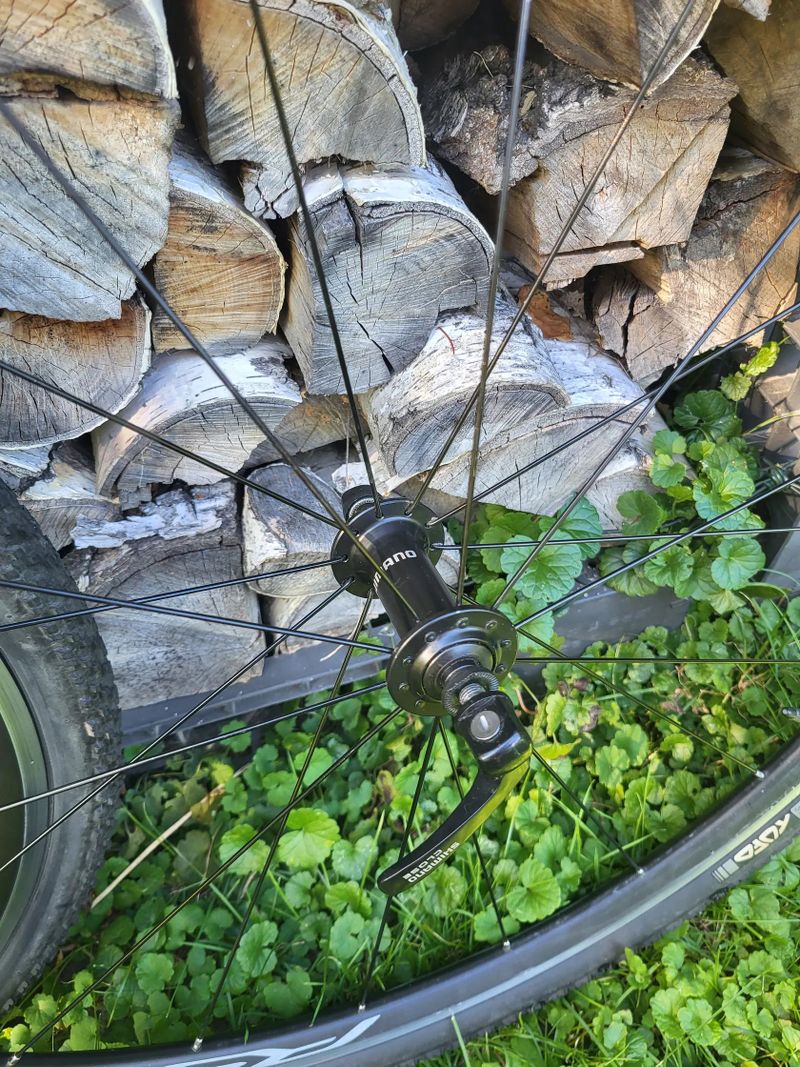 Zapletená kola WH RS 100
