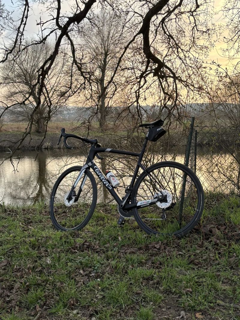 Wilier GTR Team Disc