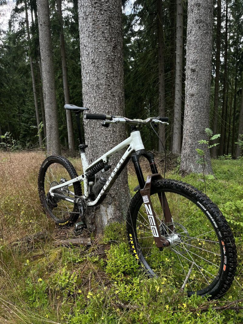 Commencal meta SX V5