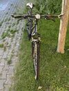 Pells Crono Pro lady velikost M (18) nad 165 cm