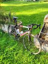 Merida Road Lite 905