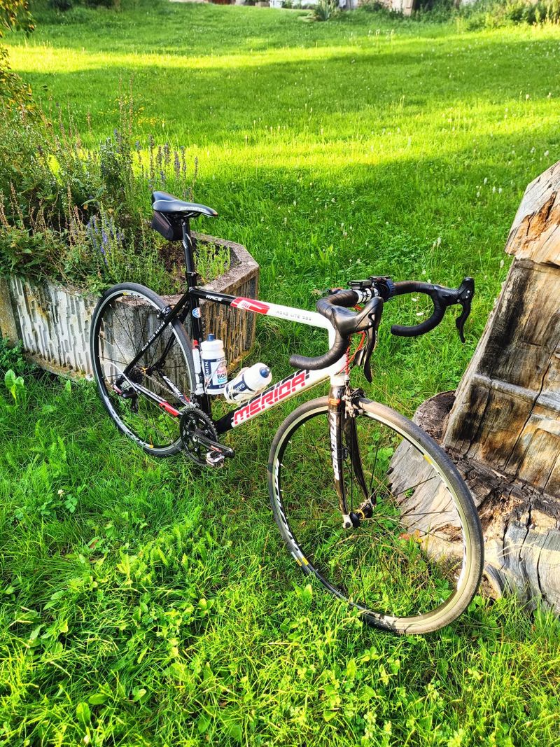 Merida Road Lite 905