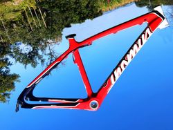 Thomus Tomcat Carbon 