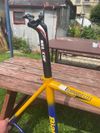 Bianchi Chromolite Reparto Corse