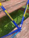 Bianchi Chromolite Reparto Corse