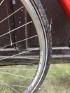 Městské kolo single speed
