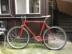 Městské kolo single speed