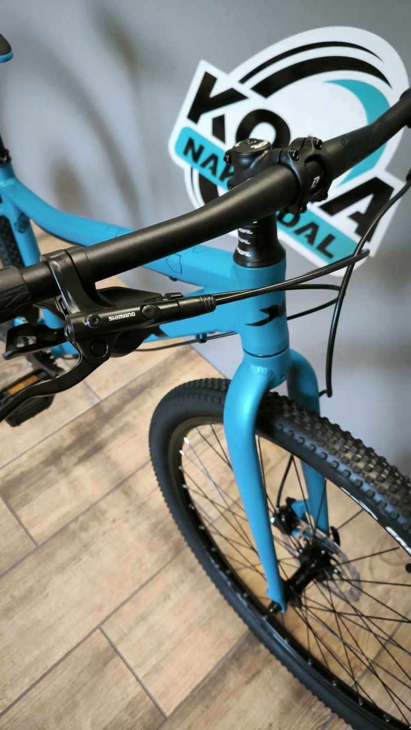 MRX Barbus Face 27 2025