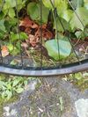 Zapletené přední enduro kolo, boost, ráfek WTB sti 30
