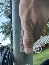 Rockrider EXPL500 horské kolo 26”