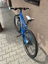 Kolo PELLS RAZZER 29”
