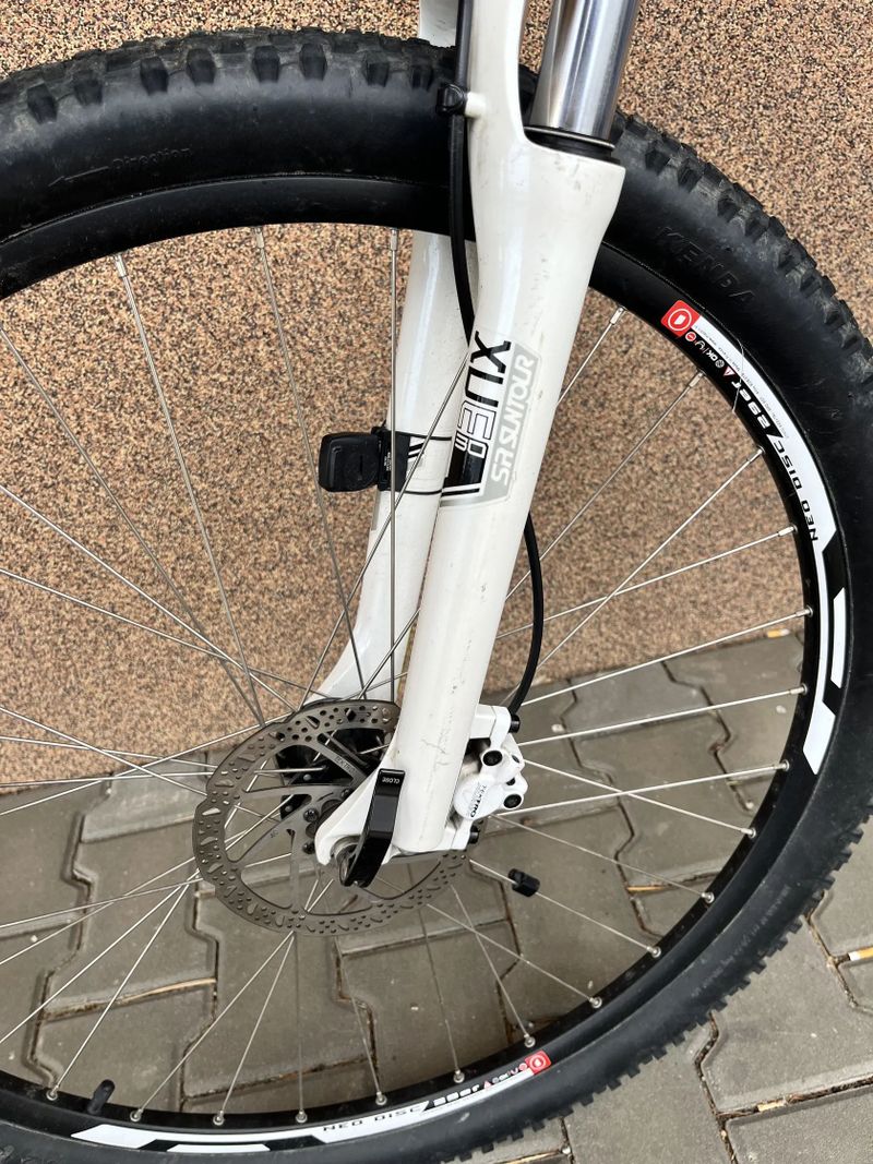 Kolo PELLS RAZZER 29”