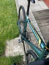 Gt Grade Expert 2021