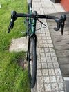 Gt Grade Expert 2021