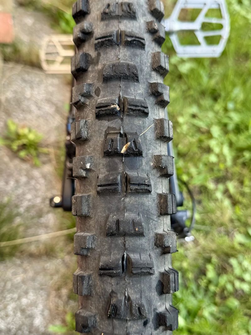 Canyon Spectral AL 5.0 2022– XL, 29”