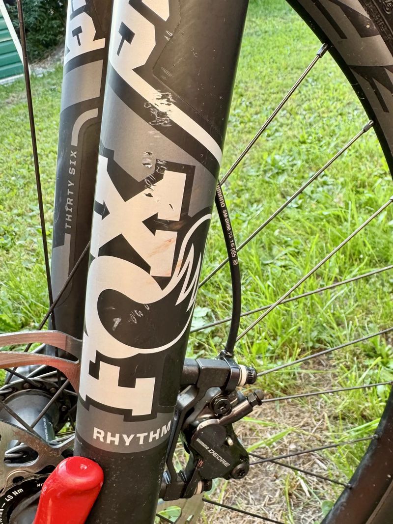 Canyon Spectral AL 5.0 2022– XL, 29”