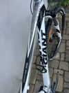 Horske kolo Giant velikost S