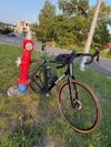 Gravel Sabro 2025, Shimano GRX, velikost 58