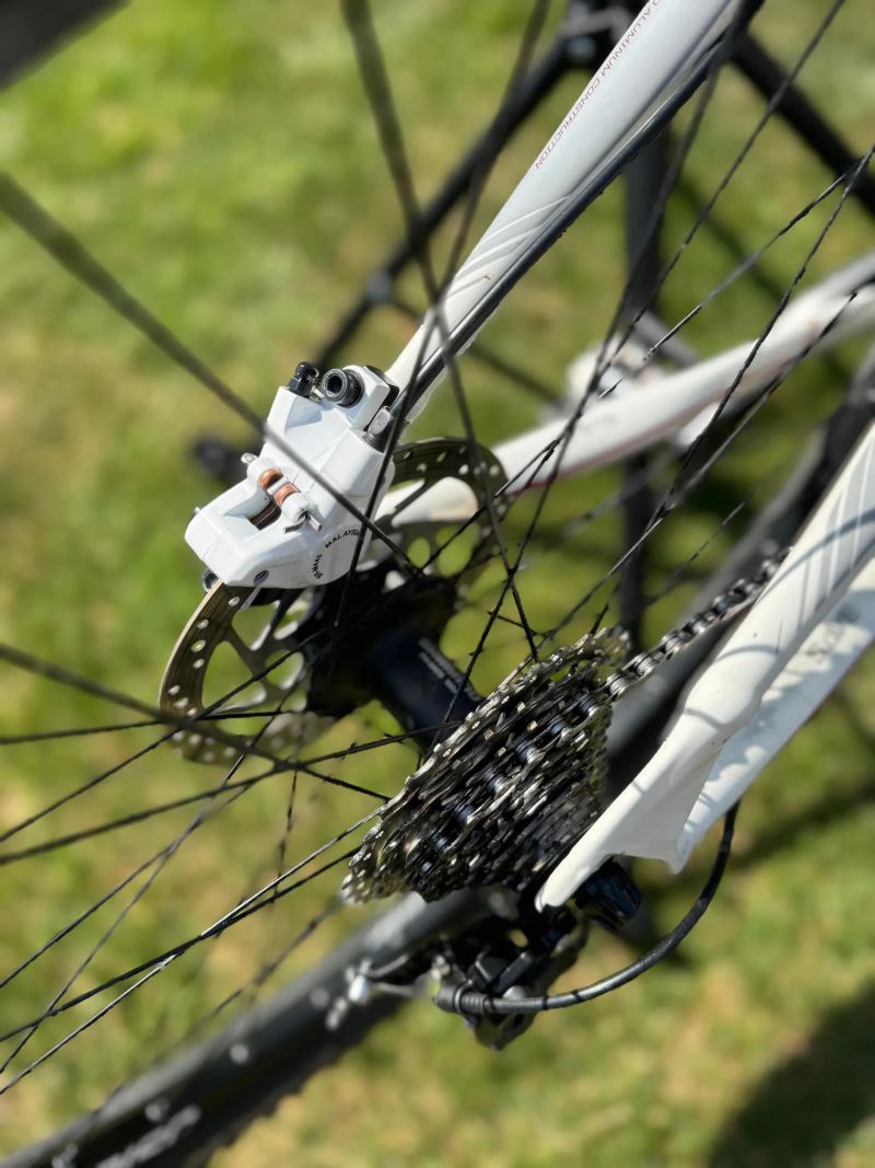 Cannondale SL 2