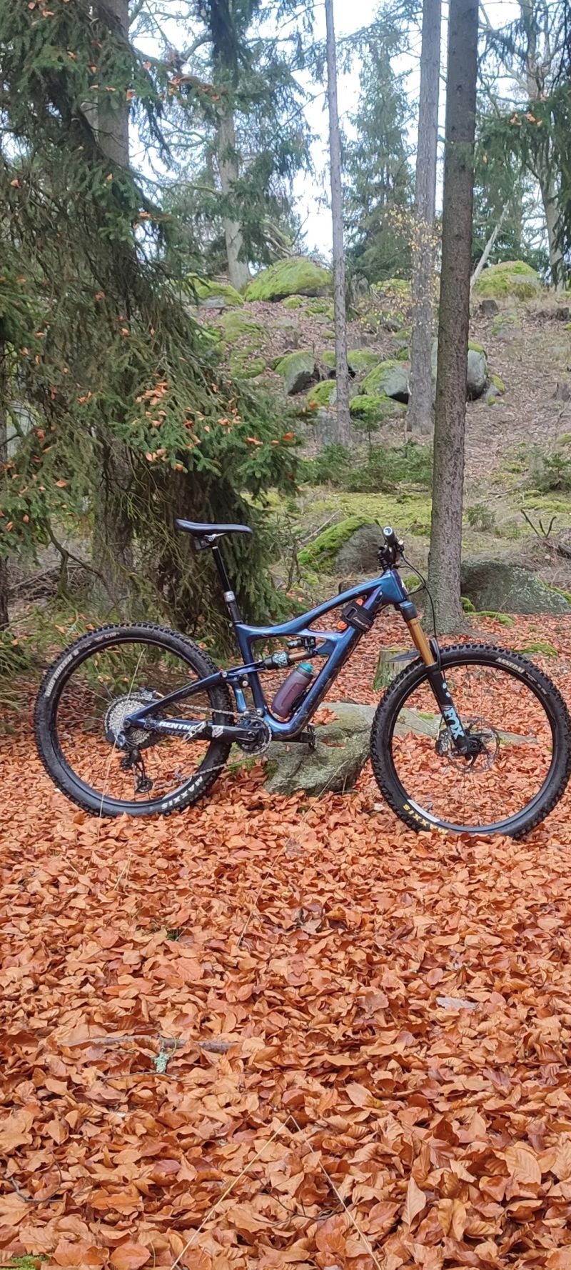 Ibis Mojo HD4