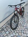 TREK REMEDY 7