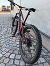 TREK REMEDY 7