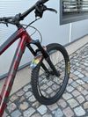 TREK REMEDY 7