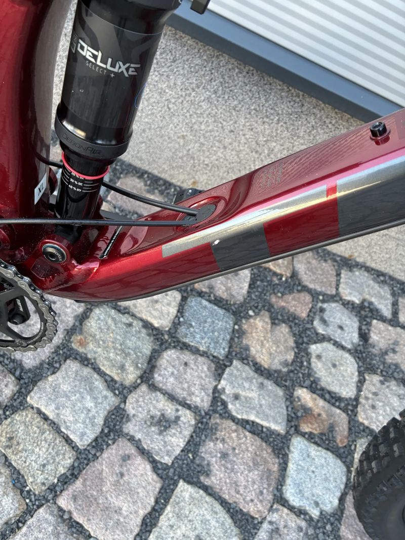 TREK REMEDY 7