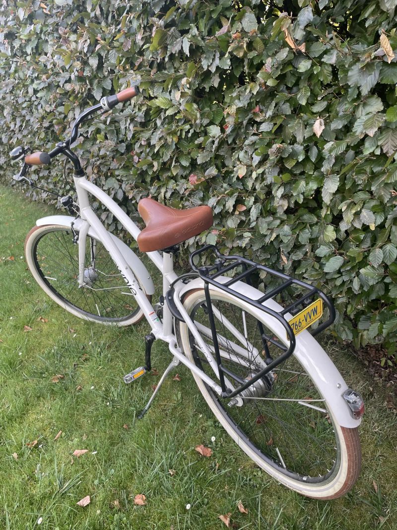 Electra Townie
