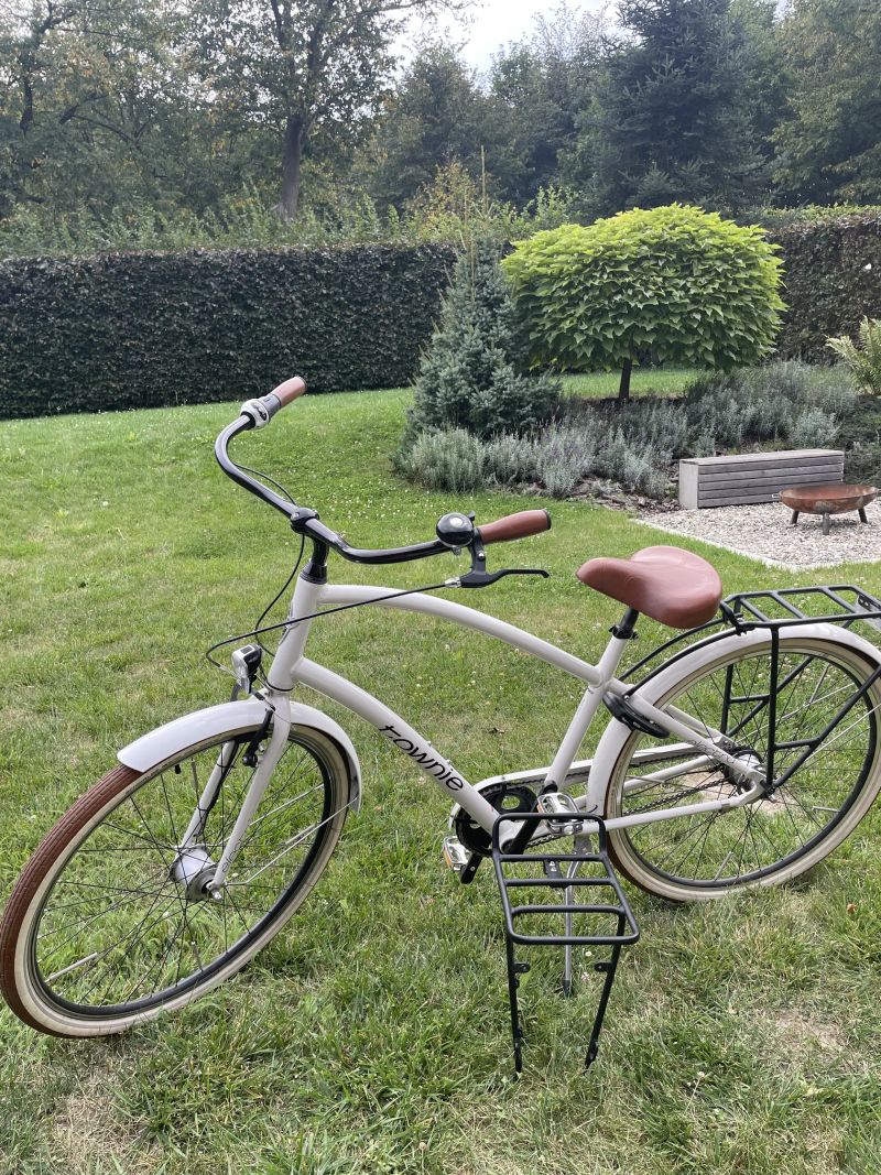 Electra Townie