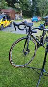 FOCUS Cayo Disc Ultegra 2017 karbon / červená / bílá