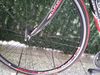 Silniční kolo DURATEC ARDENT R4 (56)