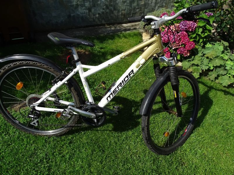 Dámské - Dívčí dětské kolo Merida Juliet 26"